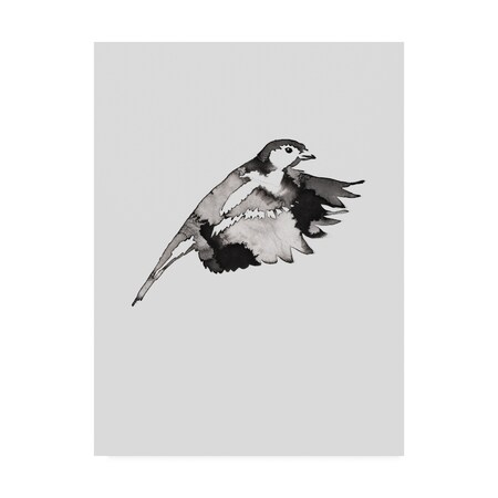 Trademark Fine Art Incado 'Flying Bird II' Canvas Art, 24x32 IC01718-C2432GG